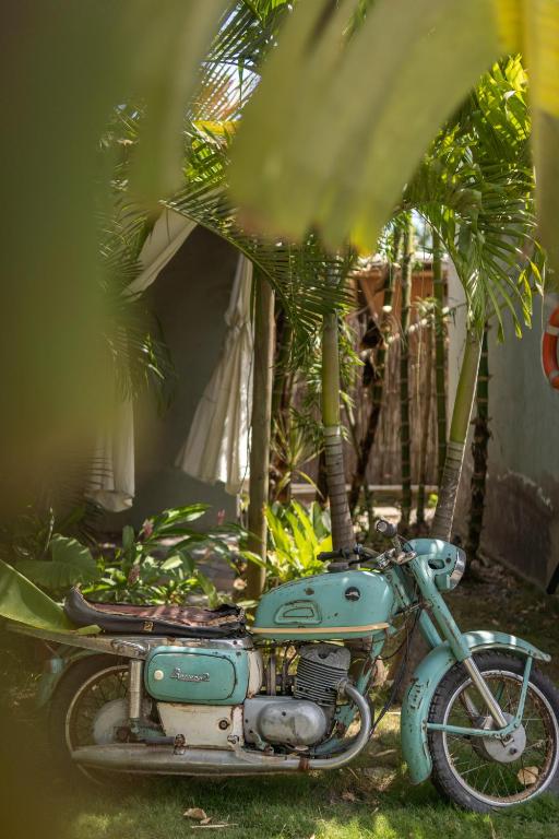 a blue motorcycle parked next to a palm tree at Ekaa Hotel in Palomino