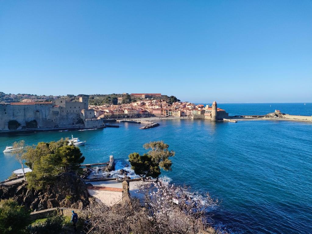 une vue sur une étendue d'eau plantée d'arbres et de bâtiments dans l'établissement La perle de Collioure à 100 métres de la plage de sable fin avec piscine et parking, à Collioure
