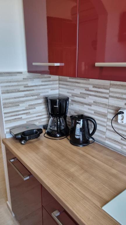 Kuchyň nebo kuchyňský kout v ubytování Apartments Katja
