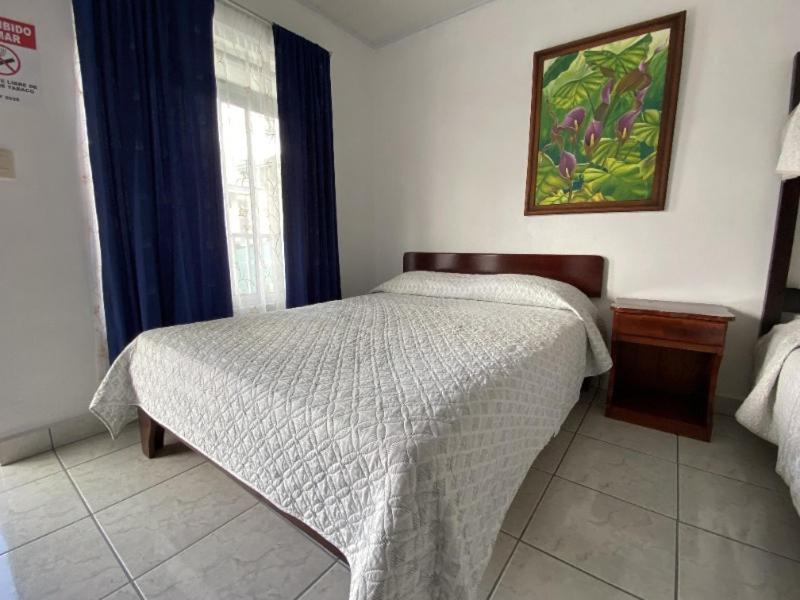 1 dormitorio con 1 cama y una foto en la pared en Hotel Alicia, en Fortuna