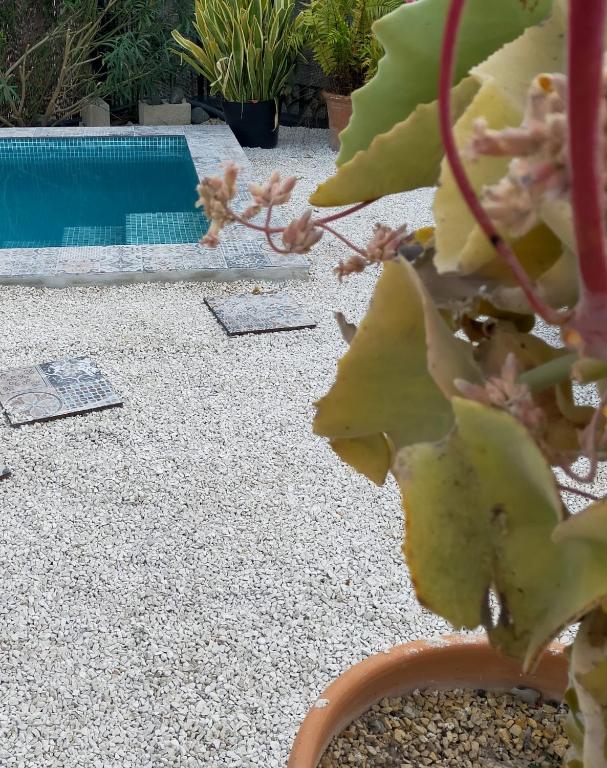 Casa eline Altea piscina privada y jardin, Altea ...