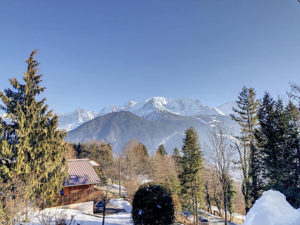 冬のMont Alt, F2 40m2 en rdc, calme, Vue Mt Blancの様子