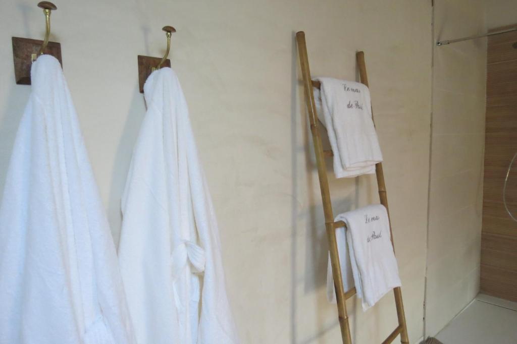 Fotografie z fotogalerie ubytování LE MAS de PAUL v destinaci Saint-Julien-de-Cassagnas