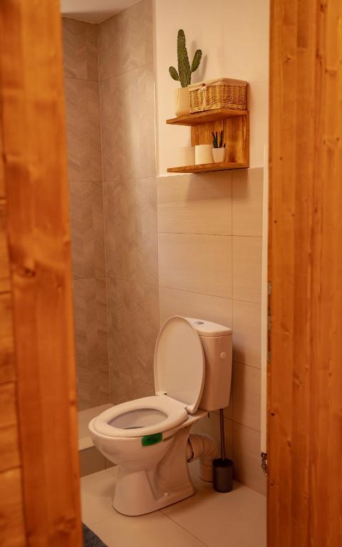Koupelna v ubytování Vila Somani