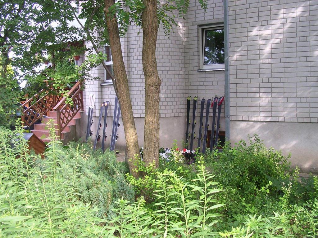un jardín frente a una casa con plantas en Gulbės Namai, en Druskininkai