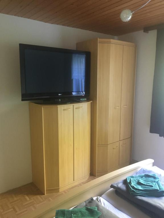 TV a/nebo společenská místnost v ubytování Apartment Peterl
