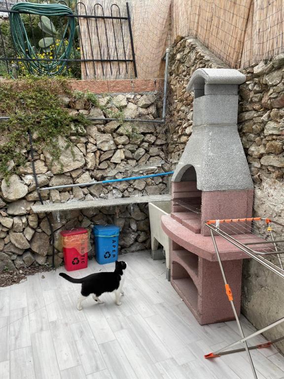 a black and white cat standing next to an outdoor oven at Casa del sasso in Bergeggi