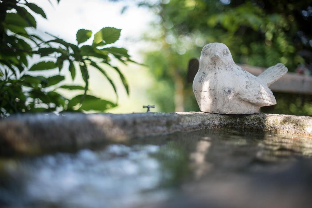 Fotografie z fotogalerie ubytování Ferienwohnungen Sumperer v destinaci Pill