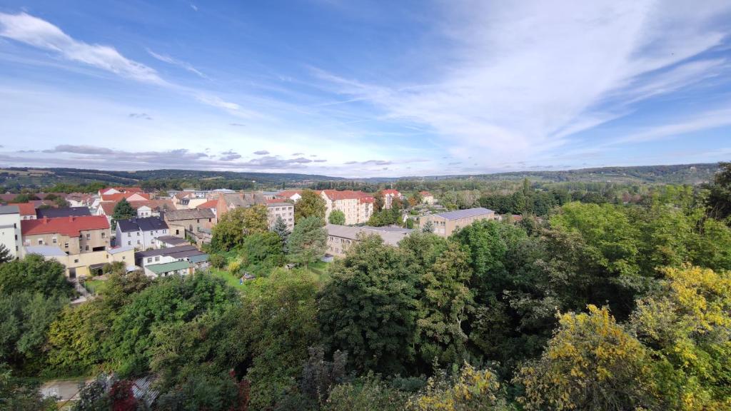 a view of a town with trees and buildings at Ferienwohnung Weitblick in Naumburg