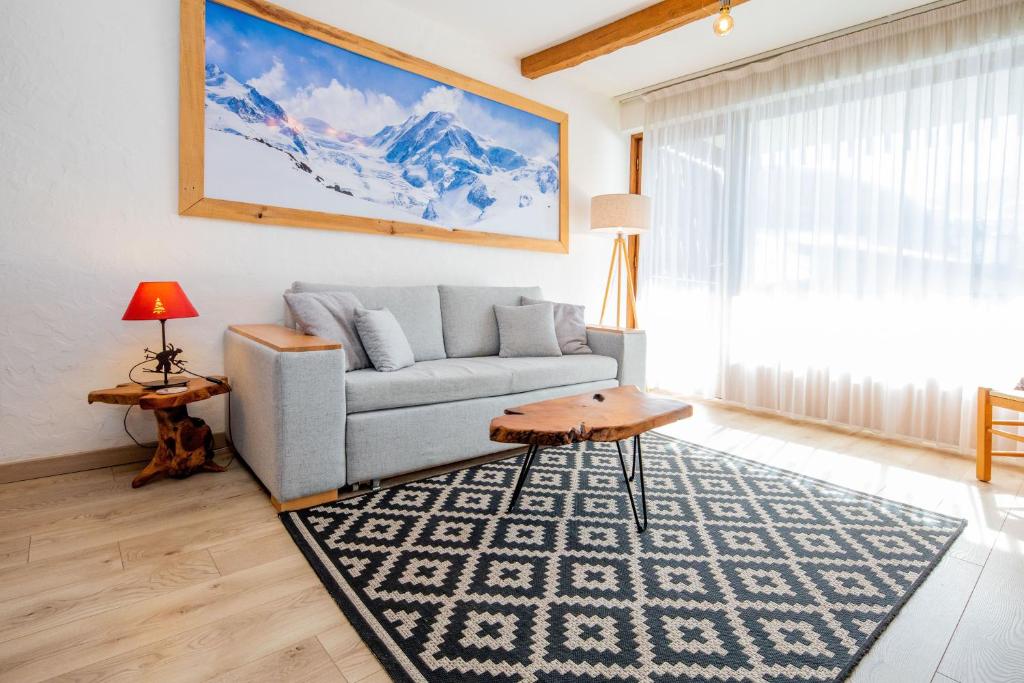 ein Wohnzimmer mit einem Sofa und einem Teppich in der Unterkunft Aux pieds des pistes, Les 2 Alpes in Vénosc