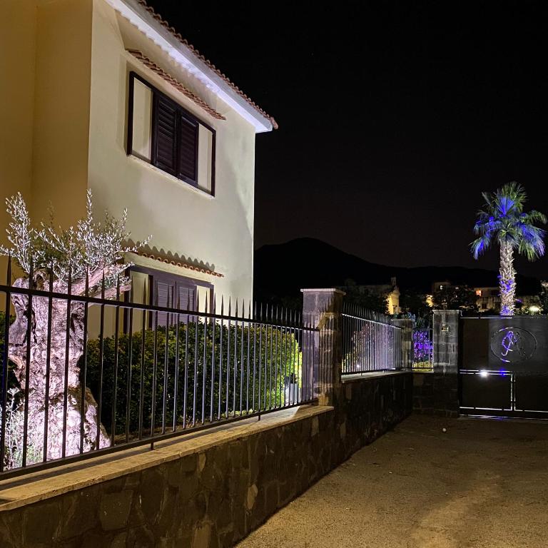 a house with a fence and a palm tree at night at Villa Manzo-Pompei Vesuvius in Boscotrecase