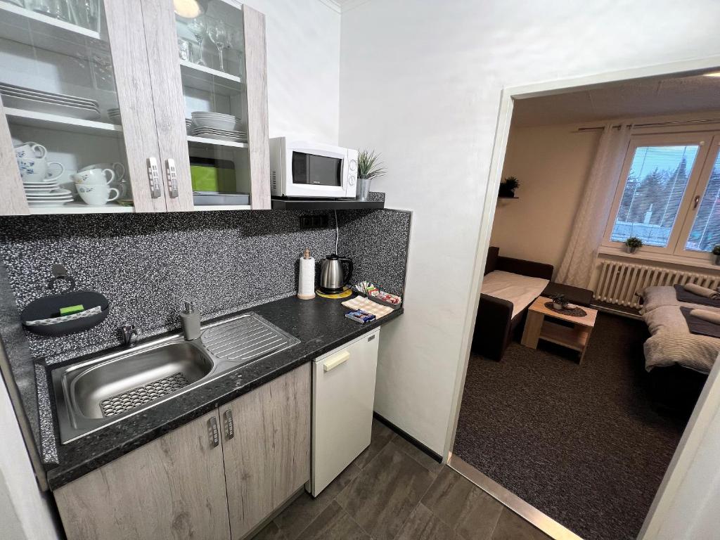 Köök või kööginurk majutusasutuses Apartmány Karlovy Vary