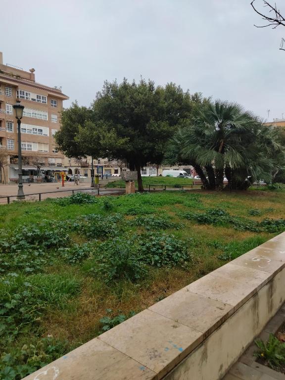 Malvarrosa Apartamentos, Valencia – Precios actualizados 2023