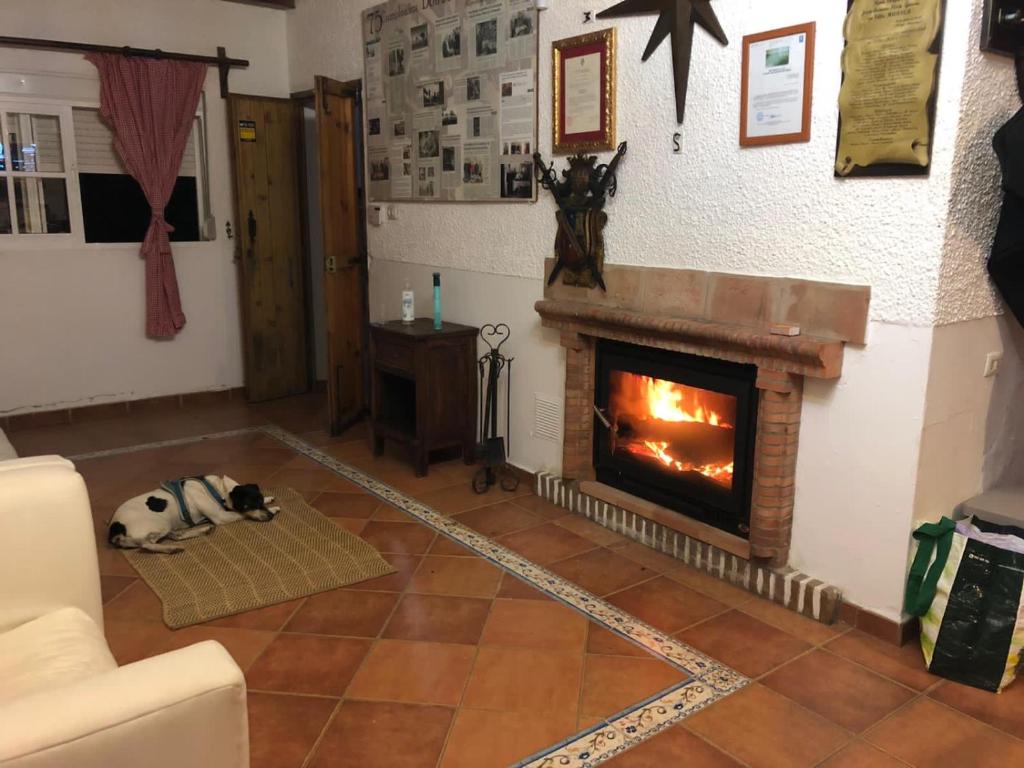 Fotografie z fotogalerie ubytování Villa Marver v destinaci Algeciras