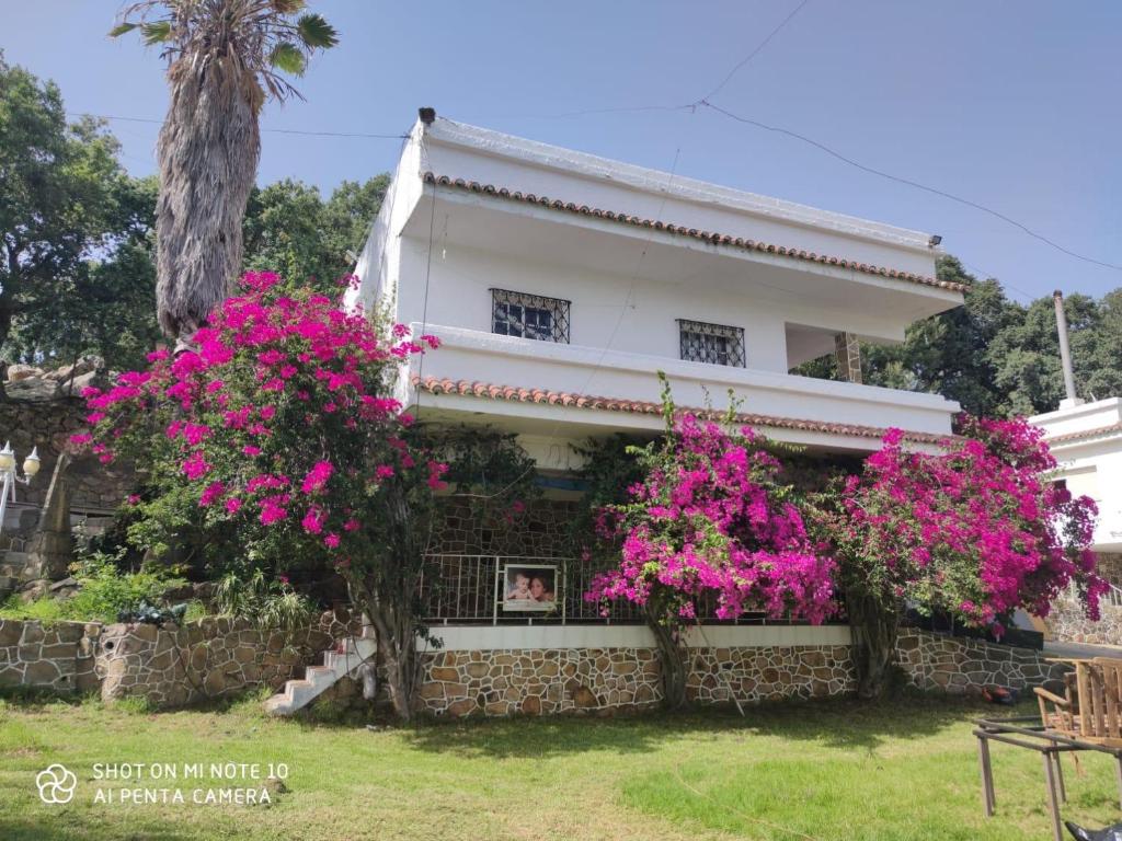 a house with pink flowers in front of it at Villa Marver in Algeciras