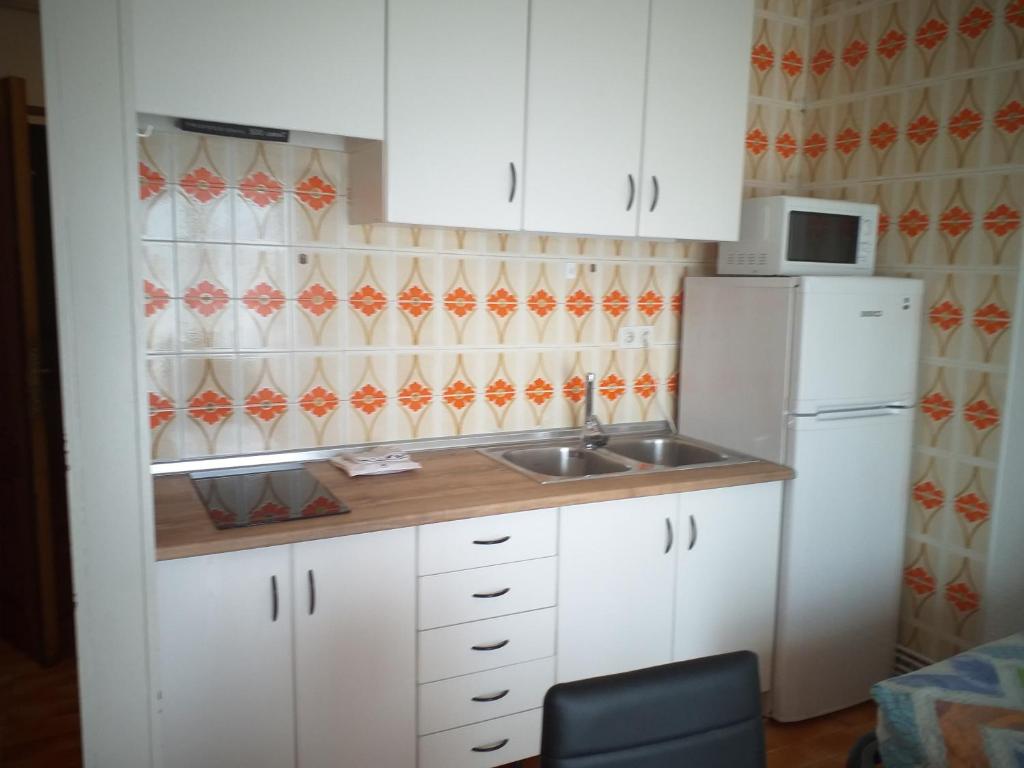 Kuchyň nebo kuchyňský kout v ubytování Apartamentos Zodiac