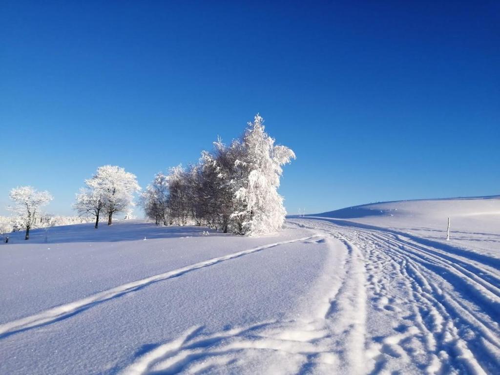 a road covered in snow with trees in the distance at Pension MAX in Pernink
