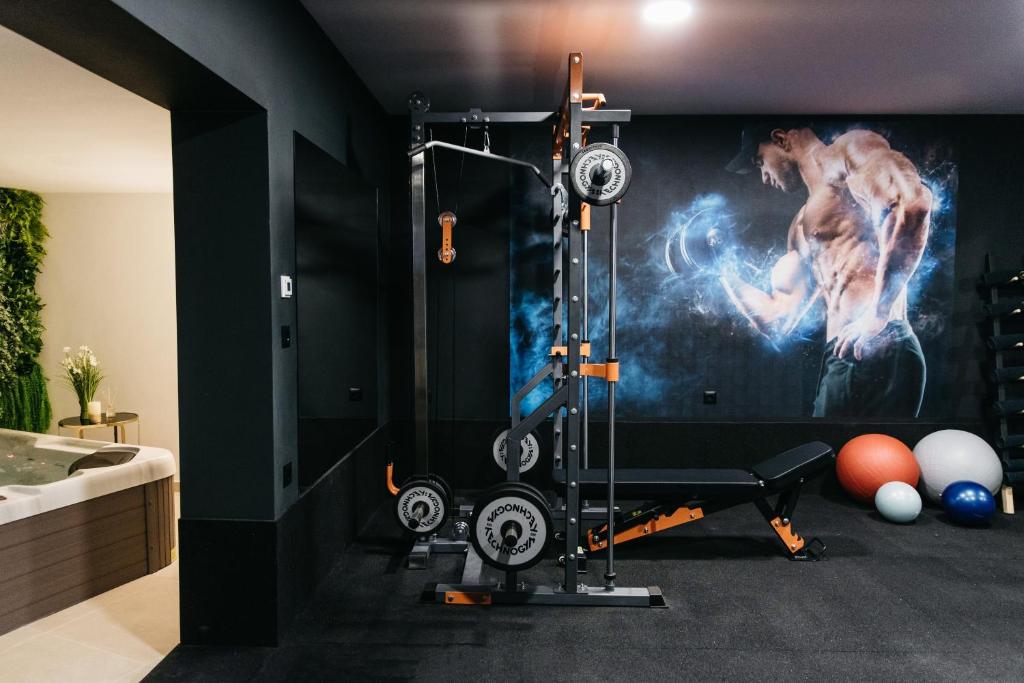 Fitness centrum a/nebo fitness zařízení v ubytování Krolo Villa&Wine