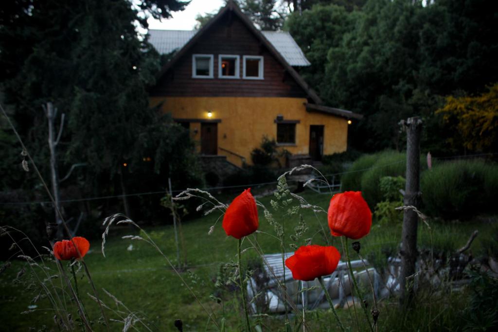 Zahrada ubytování Los Juncos Patagonian Lake House