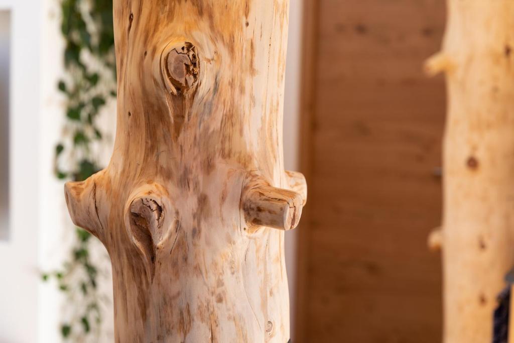 Fotografie z fotogalerie ubytování Appartments zum Beck v destinaci Eggen