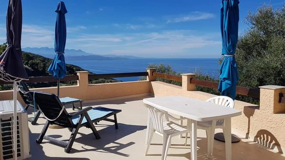 Location Cap corse في Canari: فناء مع طاولة وكراسي وإطلالة على المحيط