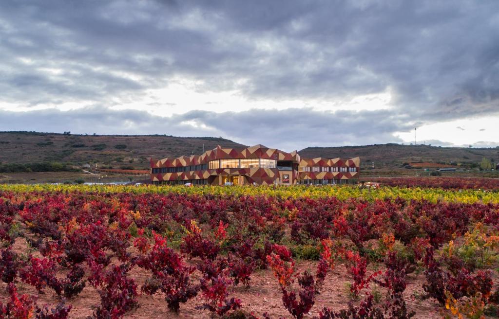a field of flowers with a building in the background at Hotel Bodega FyA - GRUPO PIÉROLA in Navarrete