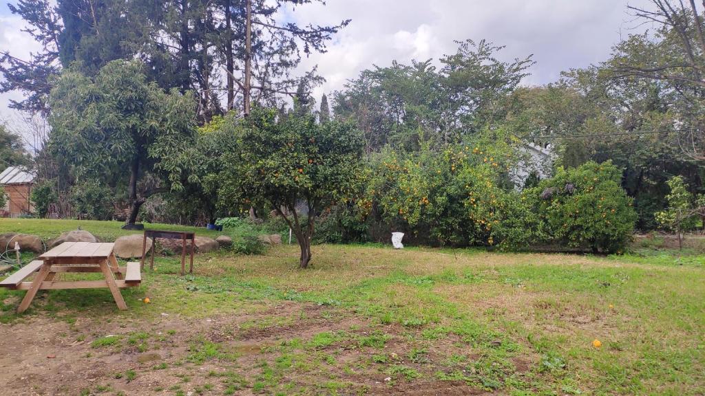 een park met een picknicktafel en een appelboom bij יערה בכפר קרוב לנחל in Bet Hillel
