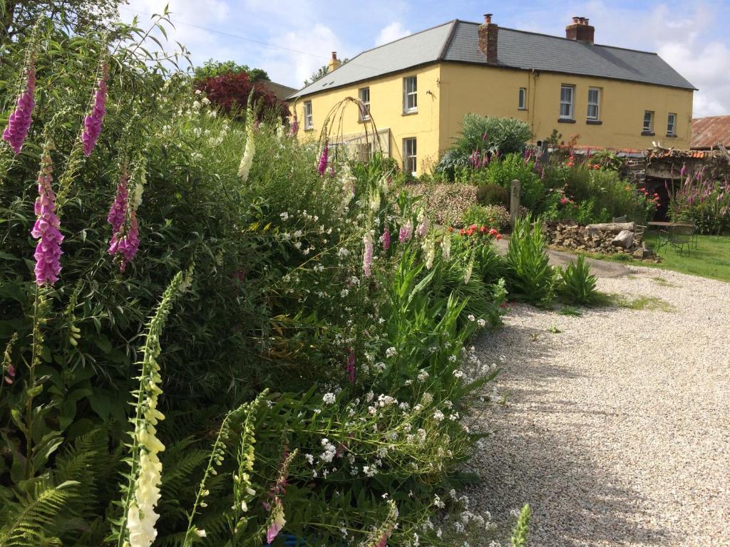 un jardin avec des fleurs violettes en face d'une maison dans l'établissement Frizenham Farmhouse, à Little Torrington