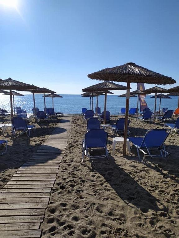 Táj Show holiday homes közelében