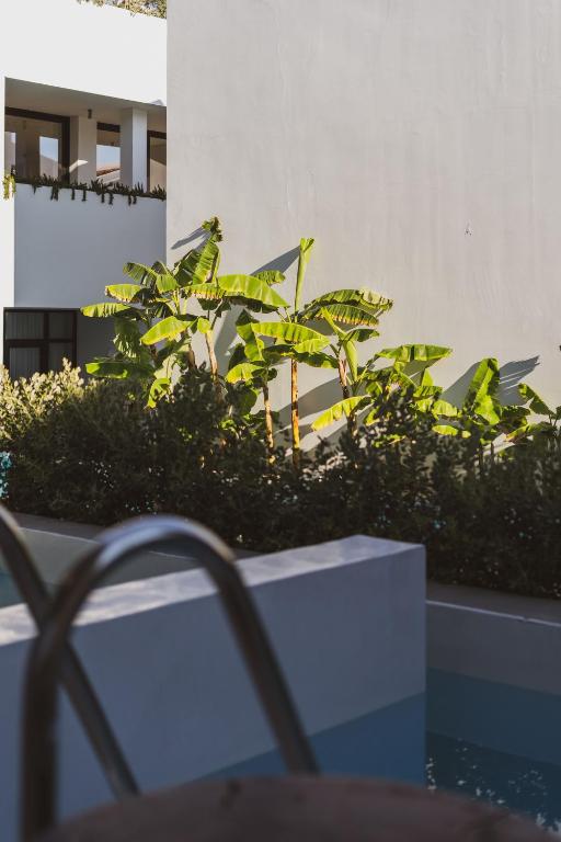 A piscina localizada em Cavo Vezal ou nos arredores