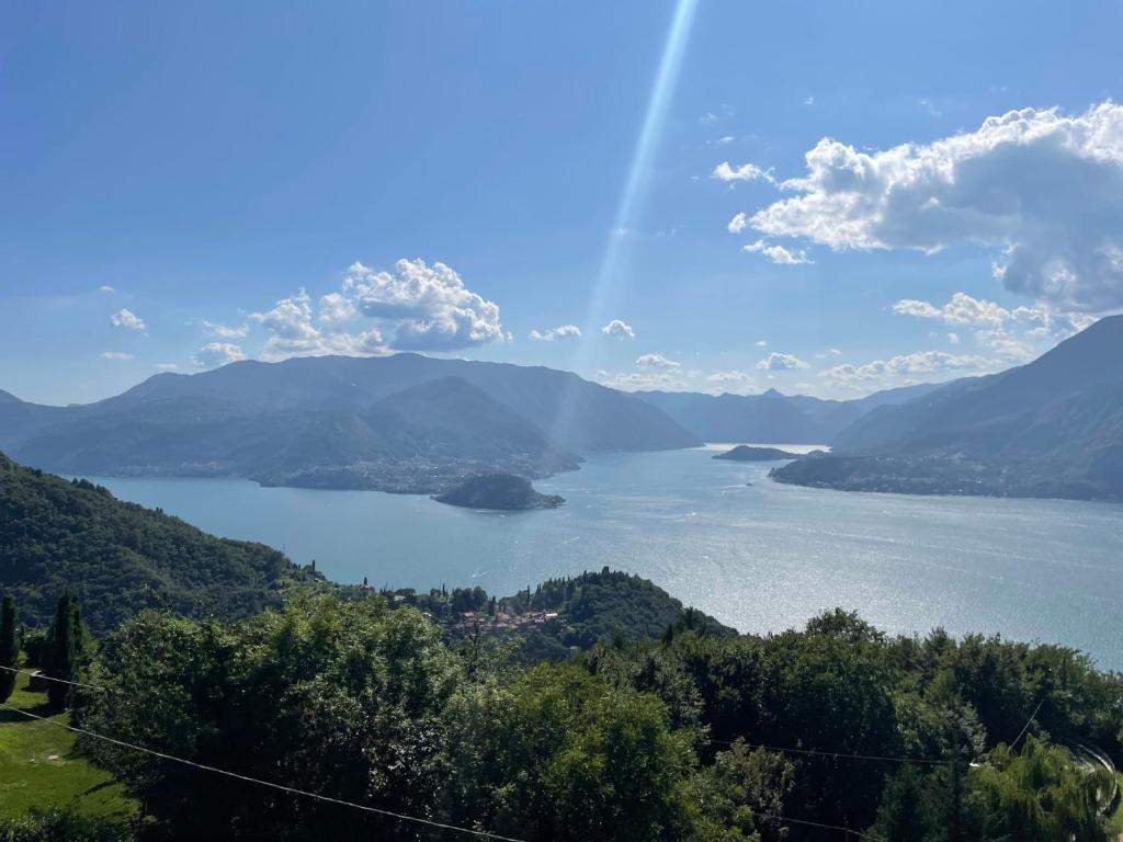Splend'Or - A Real Paradise - Hizvo