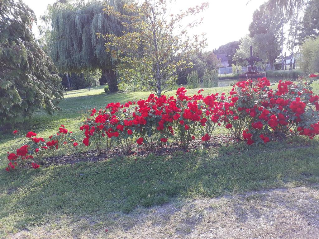 Les ROSEAUX A la Campagne au centre des chateaux de la Loire - Casa De Una Habitación