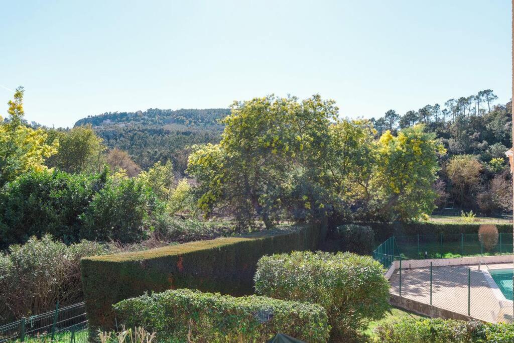 un jardin avec une grande haie et une piscine dans l'établissement Palme d'Or YourHostHelper, à Mandelieu-la-Napoule