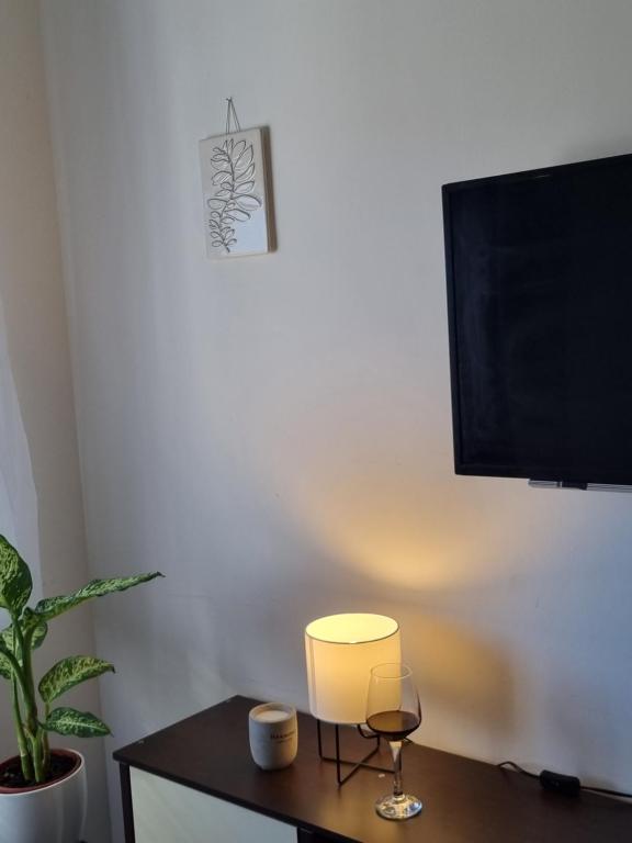 Televízia a/alebo spoločenská miestnosť v ubytovaní LUKA Apartman Pakoštane