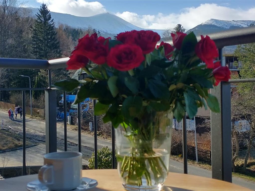 Karkonoskie Widoki - Triple Room With Mountain View