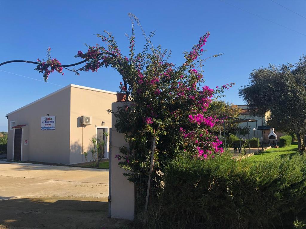 un arbusto con flores rosas al lado de un edificio en Il Ginepro, en Valledoria