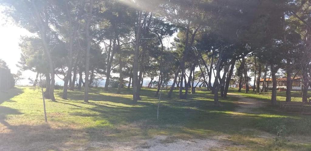 Fotografia z galérie ubytovania Apartman Petar v destinácii Zadar