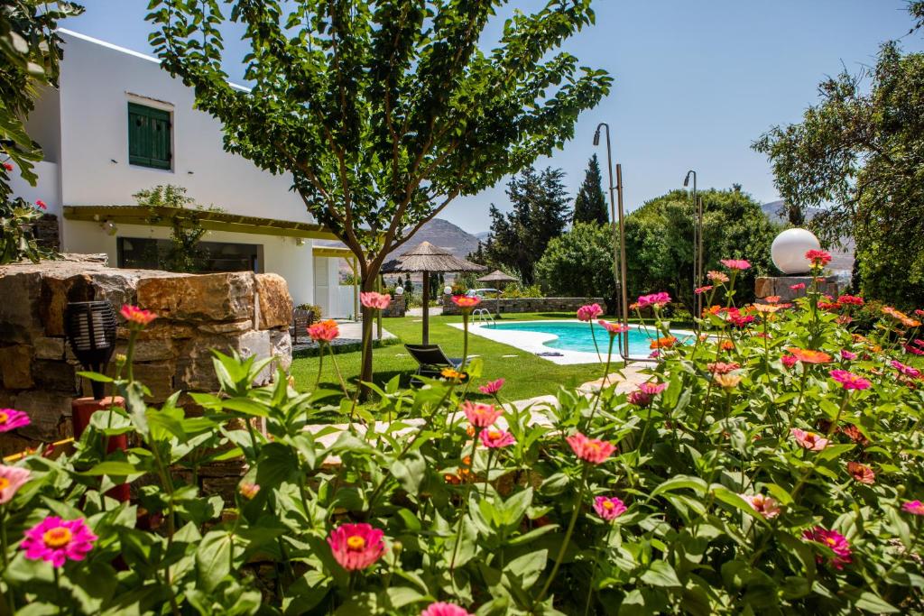 Basen w obiekcie "Palatiana Agriturismo-Philoxenia Cottages", Private Nature Retreats lub w pobliżu