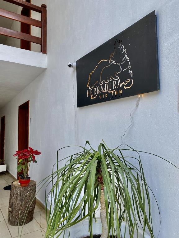 Fotografie z fotogalerie ubytování Herradura VIP Inn v destinaci Mazamitla