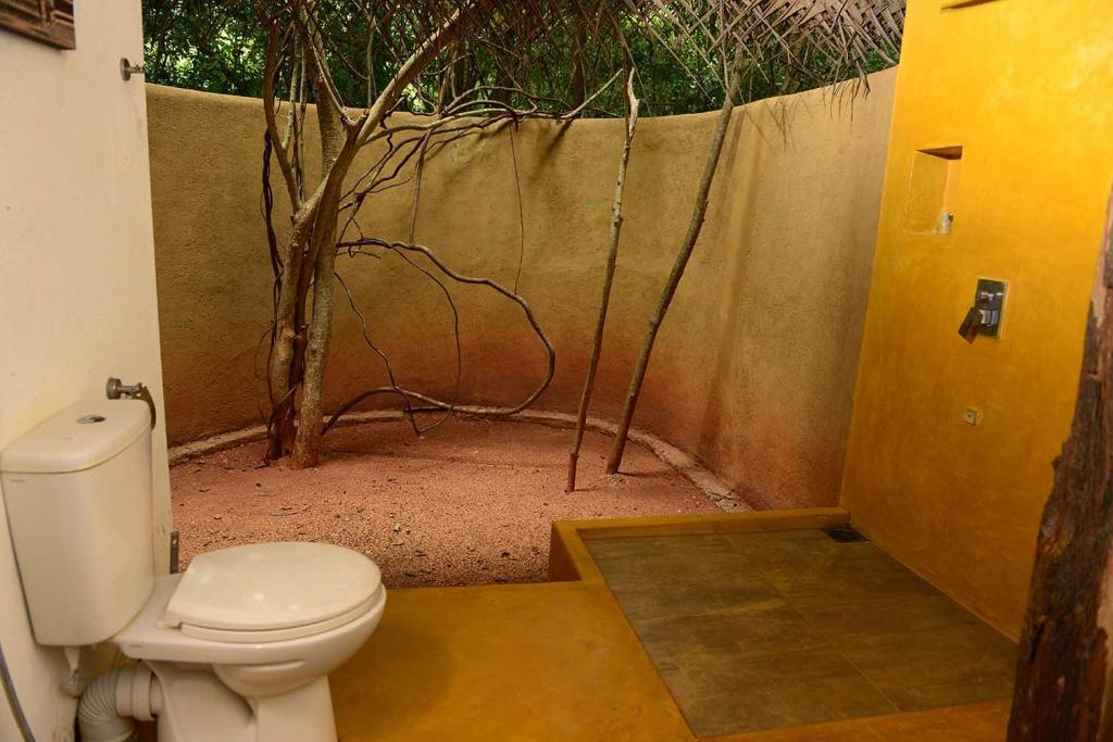 Back of Beyond - Pidurangala - 19