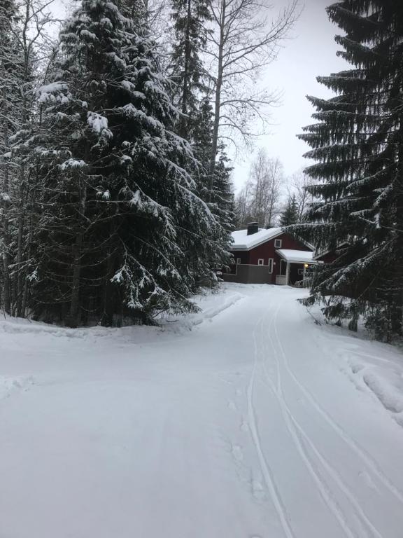 Fotografie z fotogalerie ubytování Haapaniemi Cottages v destinaci Iisalmi