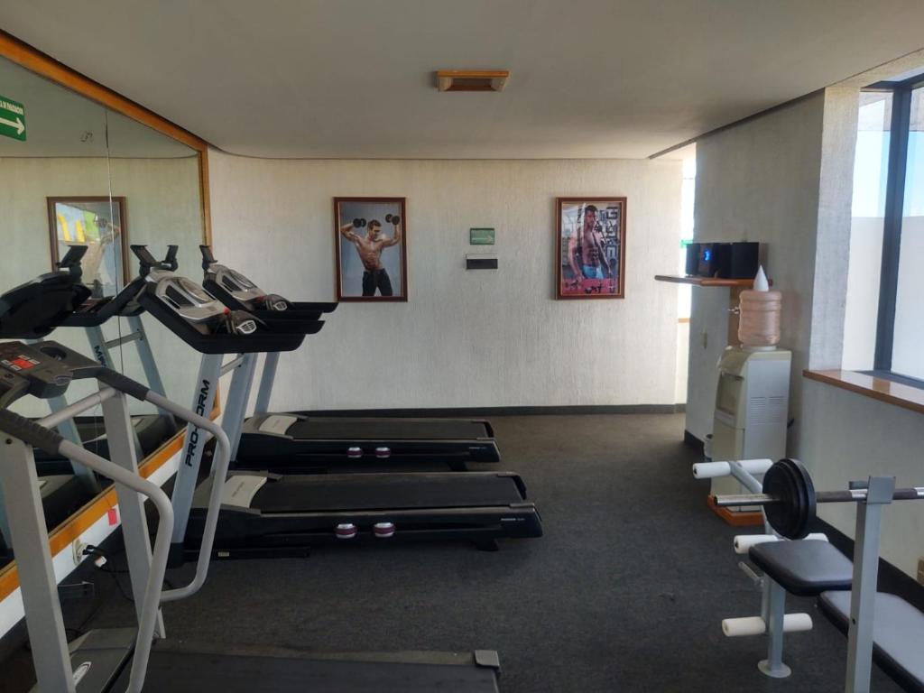 Fitness centrum a/nebo fitness zařízení v ubytování Hotel Alcampo