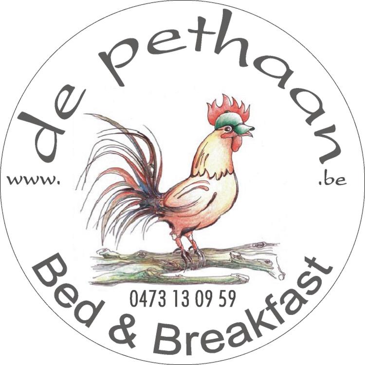Certifikát, hodnocení, plakát nebo jiný dokument vystavený v ubytování B&B De Pethaan