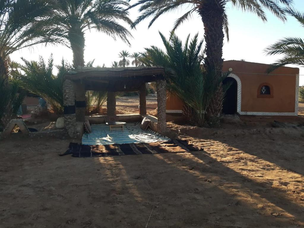 Zahrada ubytování Camp Mhamid Sahara Tours