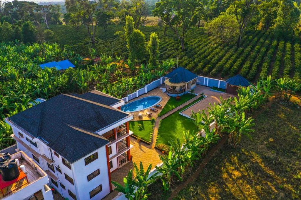 an aerial view of a house with a swimming pool at Dual Mountain View Lodge in Moshi