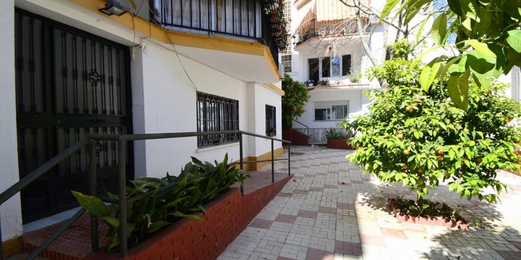 Torremolinos Town Centre 3 Bedroom Apt