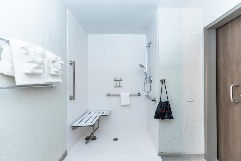 Holiday Inn Express & Suites Charlottesville by IHG - Suite Deluxe Queen - Accessibile Ai Disabili/Non Fumatori