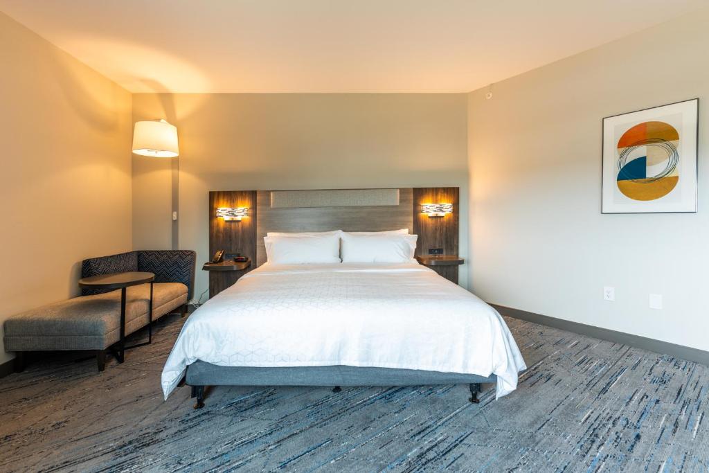 Holiday Inn Express & Suites Charlottesville by IHG - Suite Reale