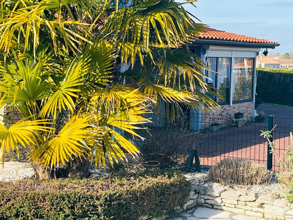 una casa con una palmera delante de ella en La Ligonne en Marillac