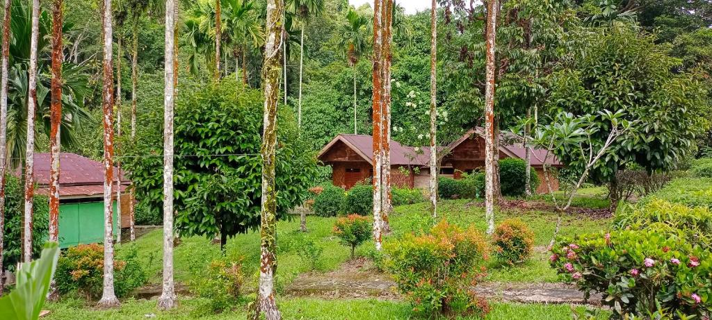 a house in the middle of a forest of palm trees at Green Lodge Tangkahan in Tangkahan